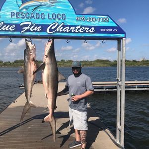 Meet your Posher, Eddie